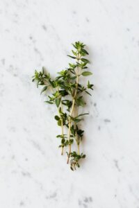 Thyme