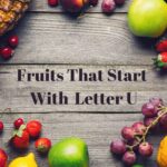 fruits that start with letter u