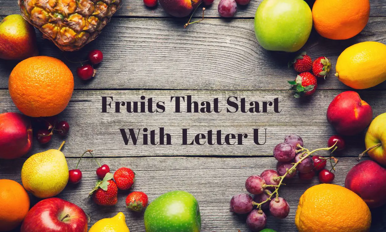 fruits that start with letter u