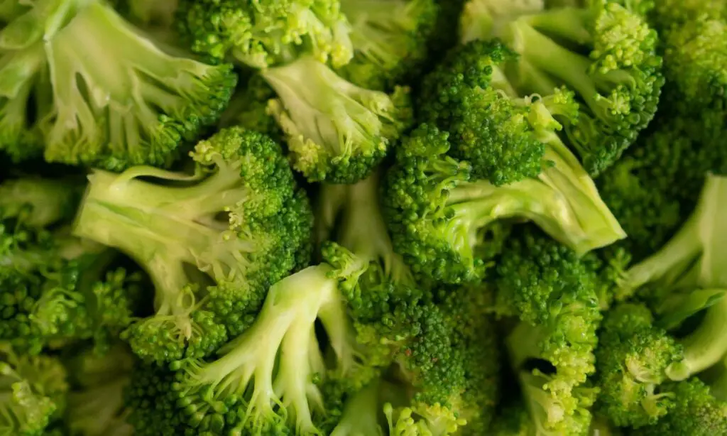 Broccoli