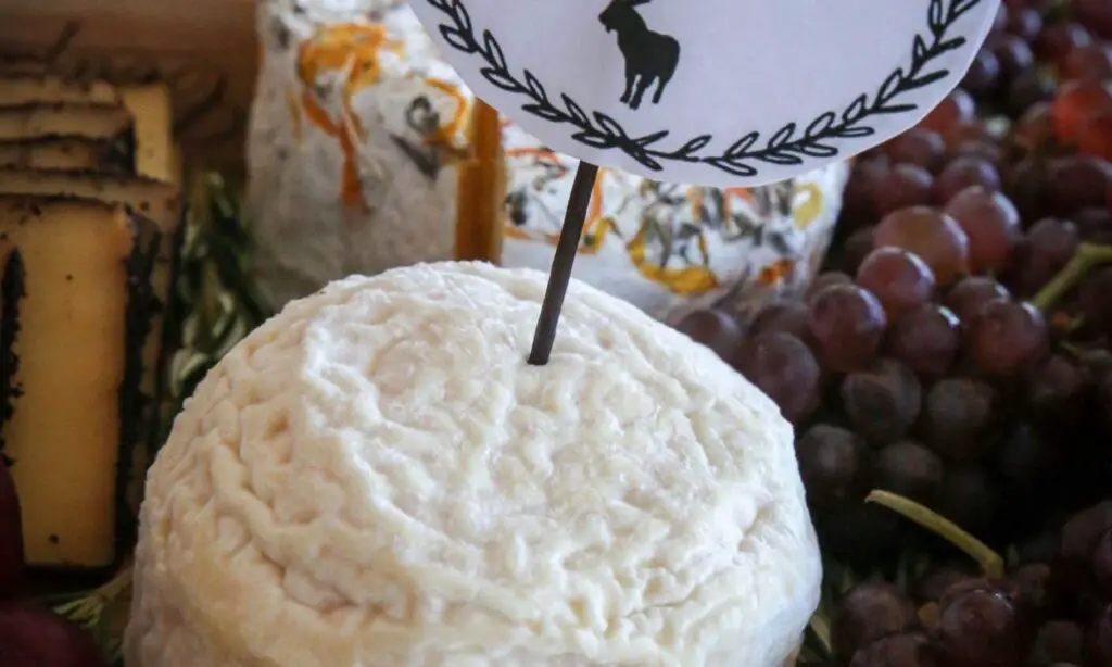 Madrona cheese